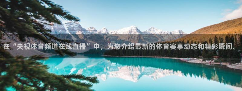 nba蜘蛛：在“央视体育频道在线直播”中，为您介绍最新的体育赛事动态和精彩瞬间。
