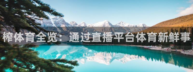 蜘蛛体育直播：榨体育全览：通过直播平台体育新鲜事