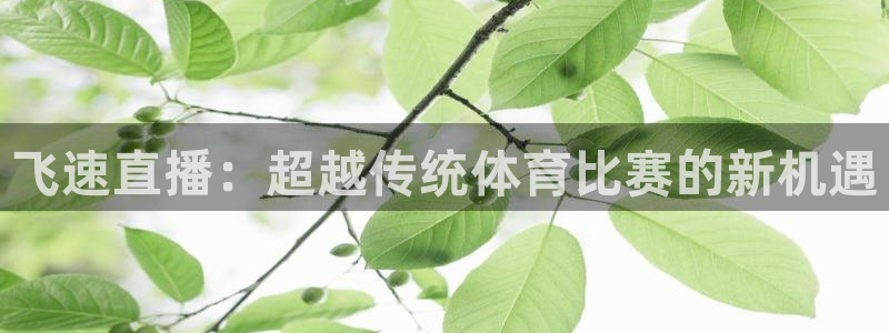 蜘蛛体育免费直播nba：飞速直播：超越传统体育比赛的新机遇