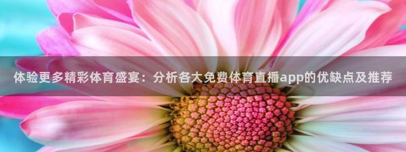 蜘蛛体育小狐狸：体验更多精彩体育盛宴：分析各大免费体育直播app的优缺点及推荐