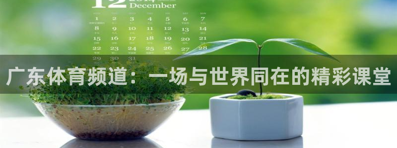 蜘蛛直播nba免费观看篮球：广东体育频道：一场与世界同在的精彩课堂