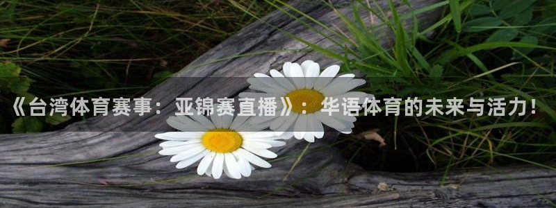 蜘蛛体育免费直播nba：《台湾体育赛事：亚锦赛直播》：华语体育的未来与活力！