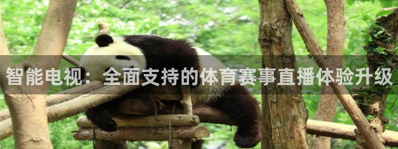 蜘蛛体育nba：智能电视：全面支持的体育赛事直播体验升级