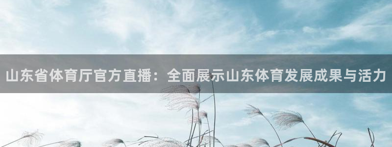 蜘蛛直播球地带：山东省体育厅官方直播：全面展示山东体育发展成果与活力