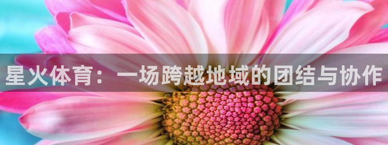 蜘蛛直播体育免费观看：星火体育：一场跨越地域的团结与协作