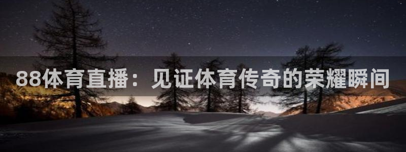 蜘蛛直播体育nba直播在线：88体育直播：见证体育传奇的荣耀瞬间