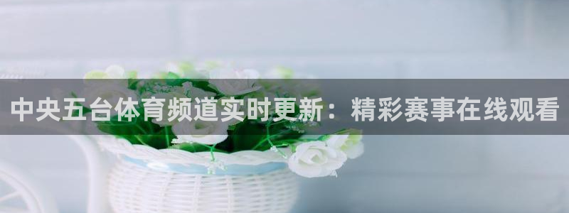 蜘蛛体育可可：中央五台体育频道实时更新：精彩赛事在线观看