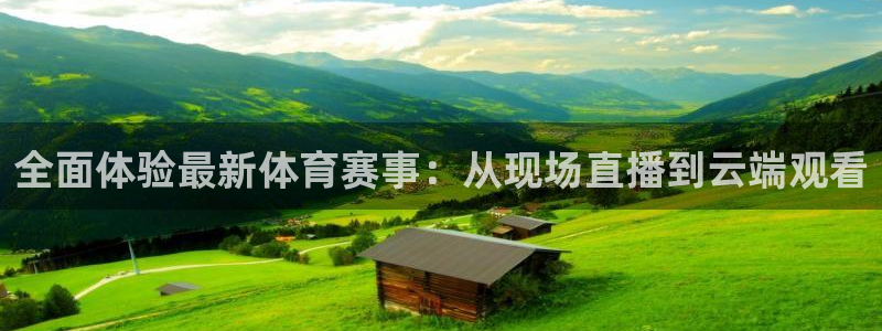 蜘蛛体育小狐狸：全面体验最新体育赛事：从现场直播到云端观看